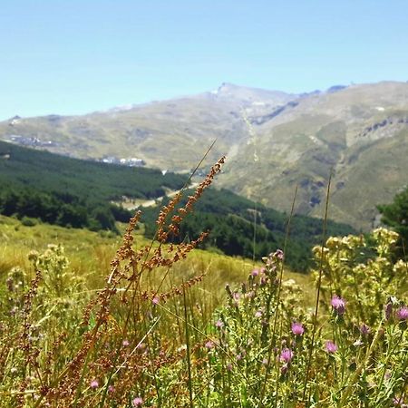 Duplex Acogedor Con Vistas Y Garaje Opcional Lägenhet Sierra Nevada Exteriör bild