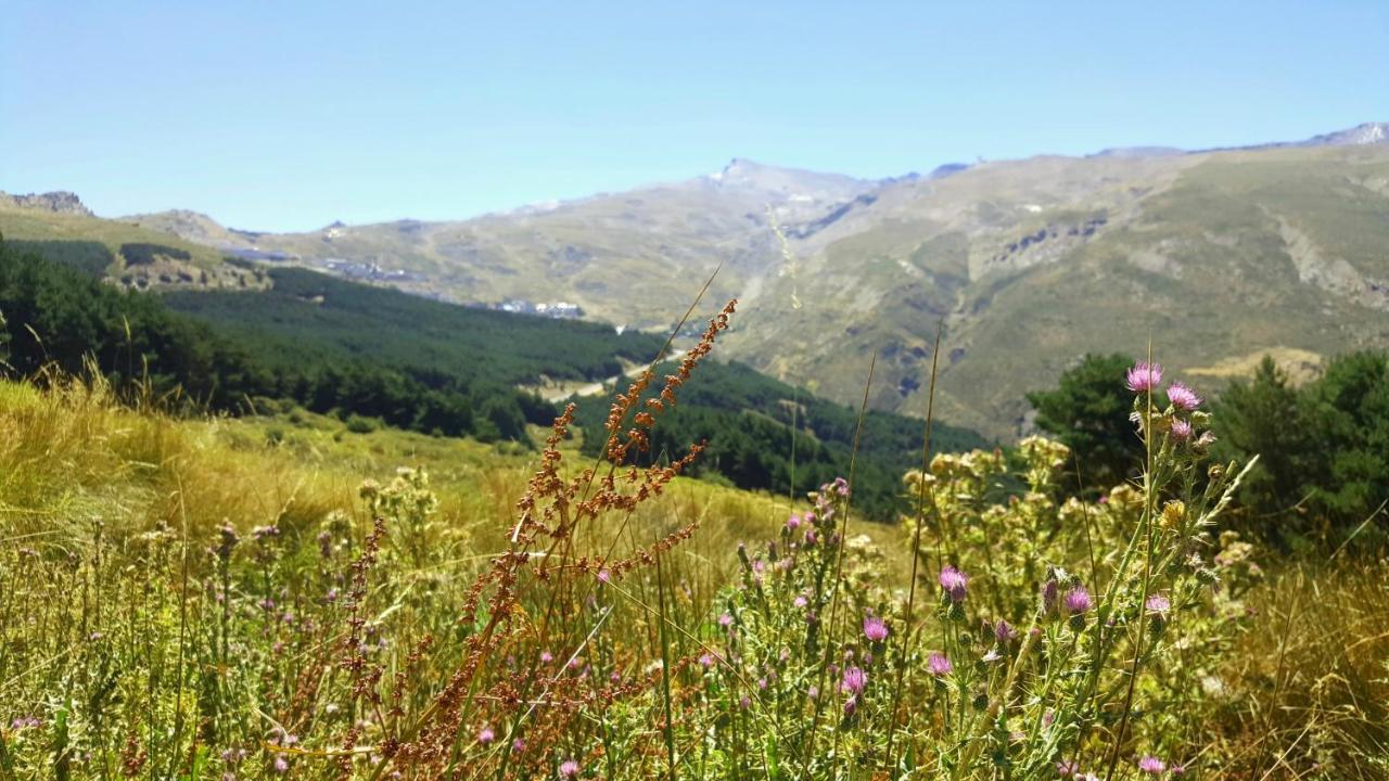 Duplex Acogedor Con Vistas Y Garaje Opcional Lägenhet Sierra Nevada Exteriör bild