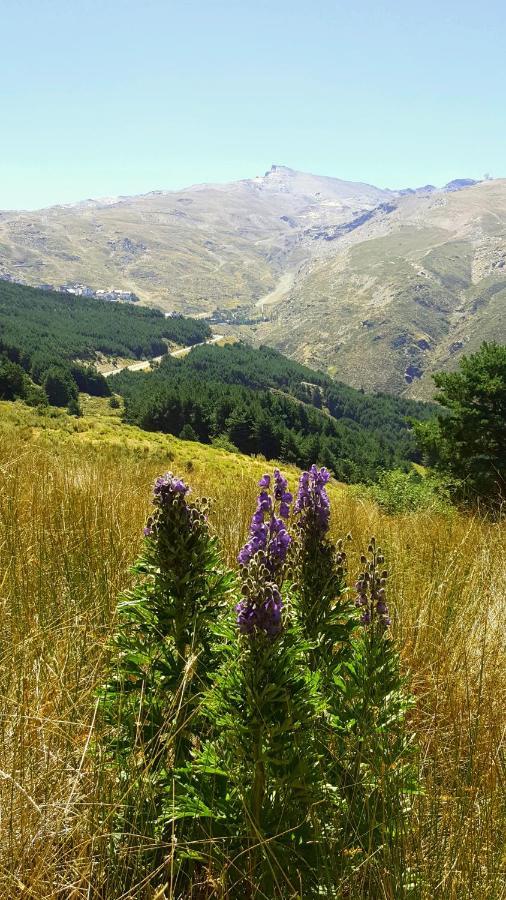 Duplex Acogedor Con Vistas Y Garaje Opcional Lägenhet Sierra Nevada Exteriör bild